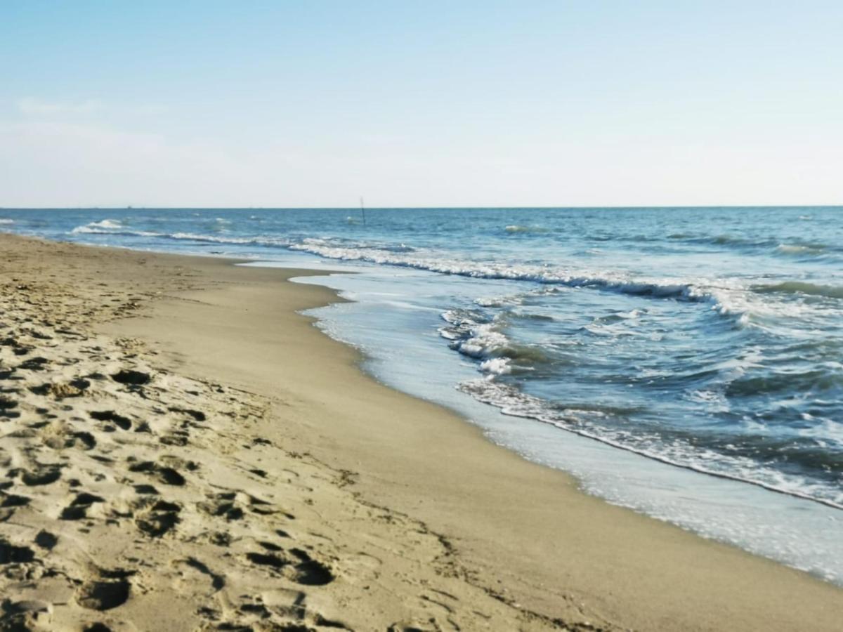 Appartamento In Villa A Tirrenia, Eleganza E Comfort A Pochi Passi Dal Mare Пиза Екстериор снимка